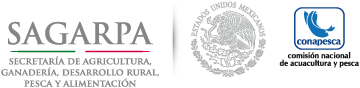 Firma Institucional